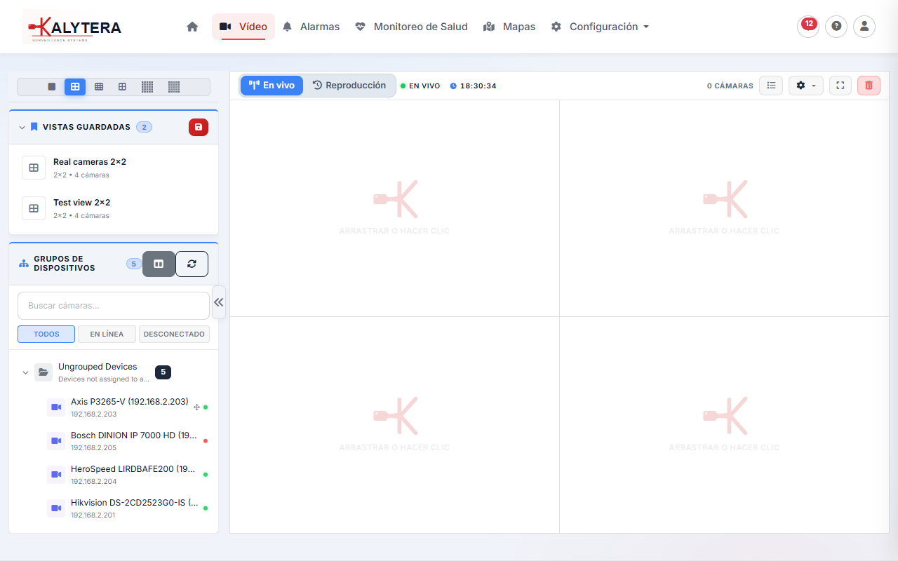 Live view grid with multiple cameras